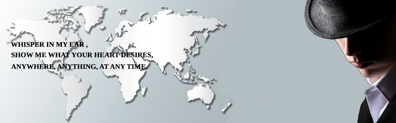 spy-sgent-banner-img